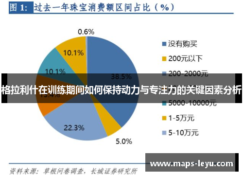 格拉利什在训练期间如何保持动力与专注力的关键因素分析