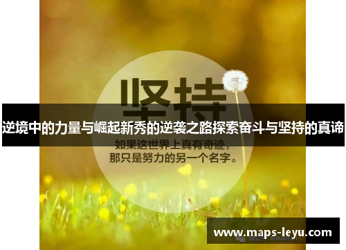 逆境中的力量与崛起新秀的逆袭之路探索奋斗与坚持的真谛 逆境中的力量与崛起新秀的逆袭之路探索奋斗与坚持的真谛